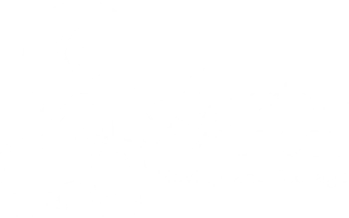americasfinestmoving logo